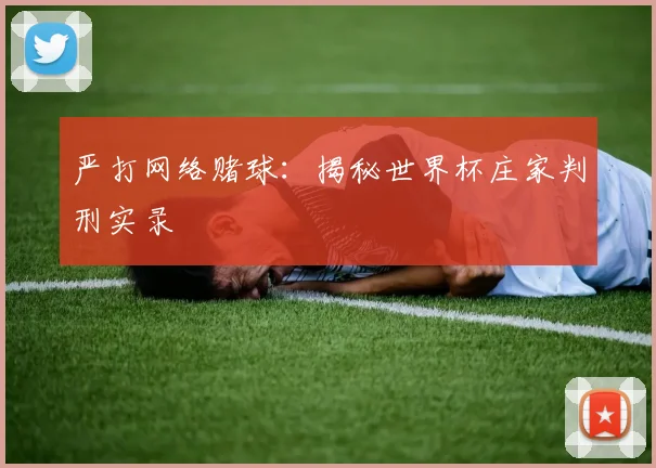 严打网络赌球:揭秘世界杯庄家判刑实录