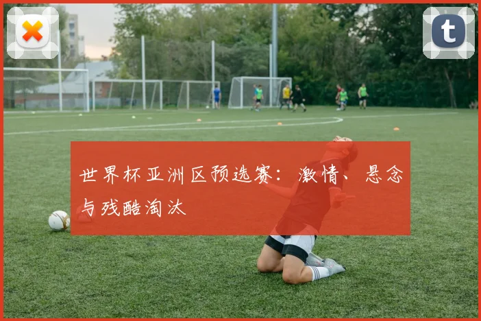 世界杯亚洲区预选赛：激情、悬念与残酷淘汰