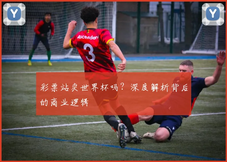 彩票站卖世界杯吗？深度解析背后的商业逻辑