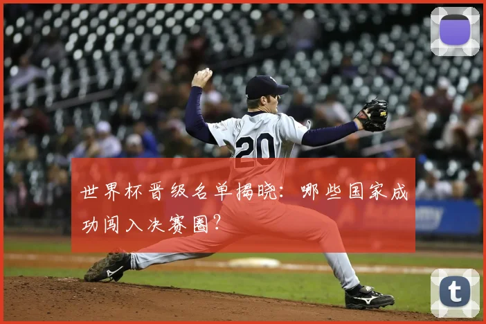 世界杯晋级名单揭晓：哪些国家成功闯入决赛圈？