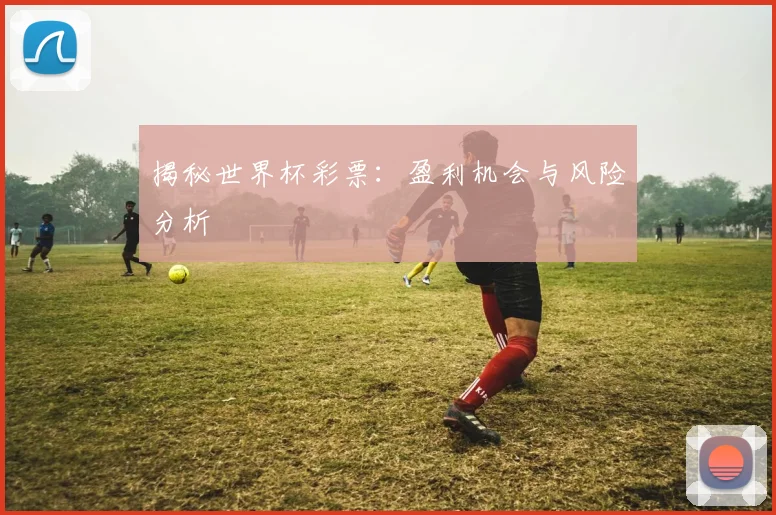 揭秘世界杯彩票：盈利机会与风险分析