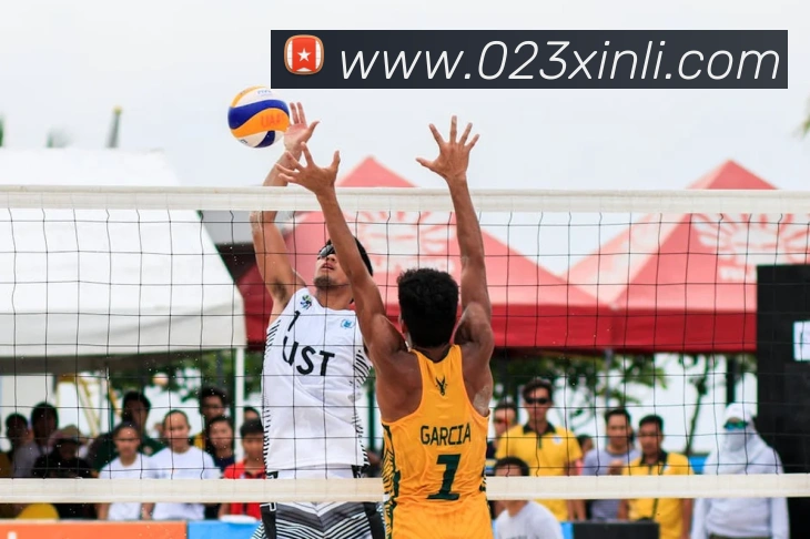 多媒体互动体验