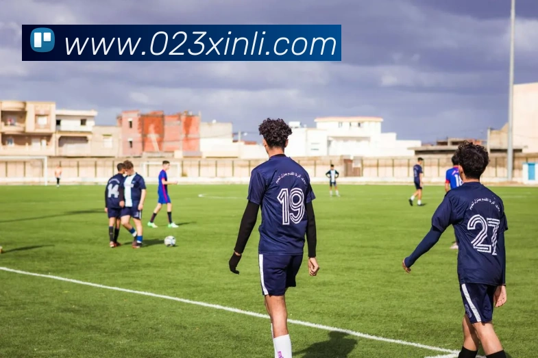 mksports官网登录入口APP 封面图